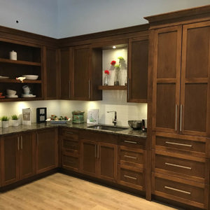 Kitchen Renovation